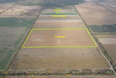 Teren de Vânzare - 2,1 Hectare în Apropierea Pădurii Bistra Comision 0! - 2