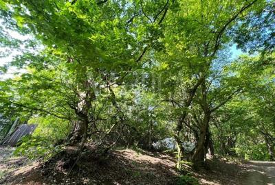 Teren intravilan pentru constructii de vanzare in Grigorescu, Cluj Napoca Teren intravilan pentru constructii de vanzare in Grigorescu, Cluj Napoca - 9