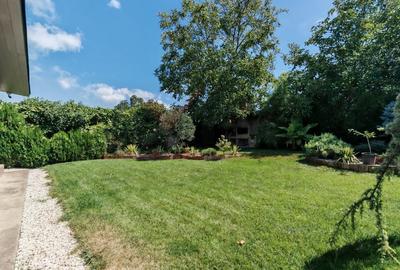 Vila Eforie Sud | nou renovata | ideal locuinta sau birou | 507 mp teren - 9