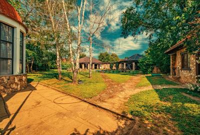 Casa superba cu vedere la lac in Izvorani – piscina, natura,si potential imens! - 3