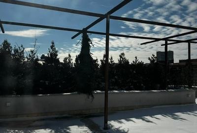 Apartament cu 5 camere în Grădina Icoanei - 3