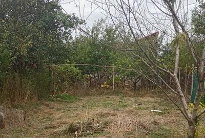 Casă cu 5 camere în Central - 5