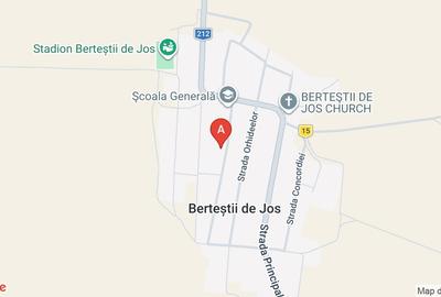 Teren Construcții intravilan de 90000 mp, în Berteștii de Jos - 1