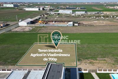 Teren intravilan de 700 mp, în Vladimirescu - 6