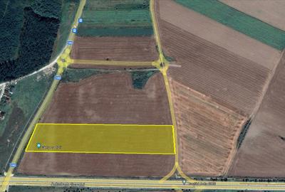 Teren Intravilan Constructii de 12.300 mp, Cu Deschidere la Sosea Asfaltata - 7