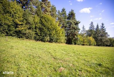 Spațiu comercial, în Vulcan - 8