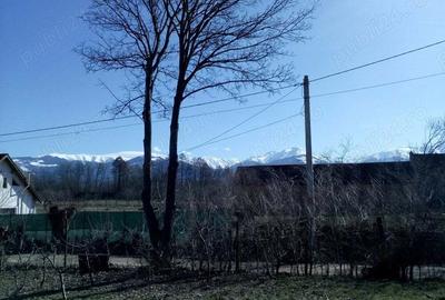 Casa langa Muntii Fagaras - 5