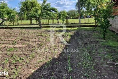 Casă cu 6 camere cu Teren 2300 Mp în Pomezeu - 7