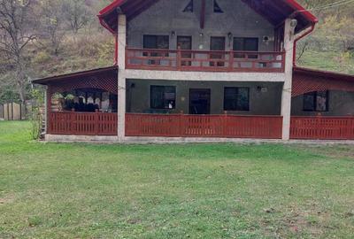 Casă cu 3 camere cu Teren 2000 Mp în Toplița - 10