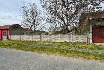 Casă cu 3 camere cu Teren 1500 Mp în Criciova - 5