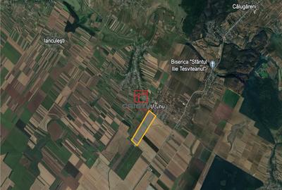 Teren de 400000 mp, în Călugăreni