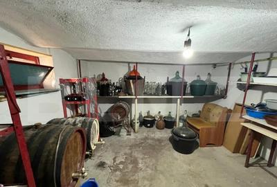 Casă cu 4 camere cu Teren 1310 Mp în Gușterița - 4