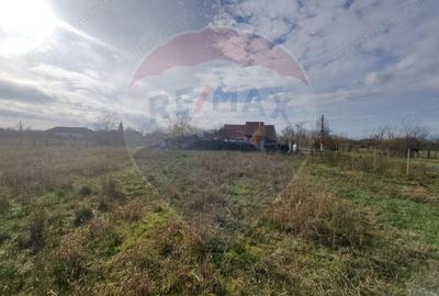 Teren de 1330 mp, în Drăgoiești - 6