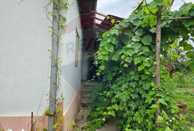 Casă cu 3 camere cu Teren 5000 Mp în Central - 15