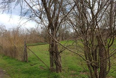 Teren Construcții intravilan de 1000 mp, în Sărulești - 5