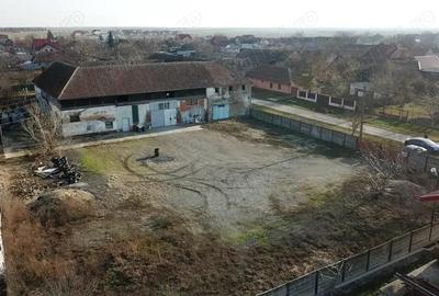 Teren de 3000 mp, în Orțișoara - 1