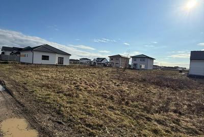 Teren de 734 mp, în Păulești - 3