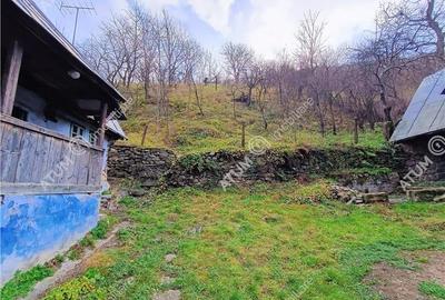 Casa traditionala din lemn cu 930 mp teren langa Sibiu - 29