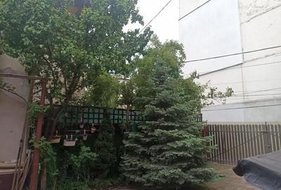 Casă cu Teren 350 Mp în Precista - 7