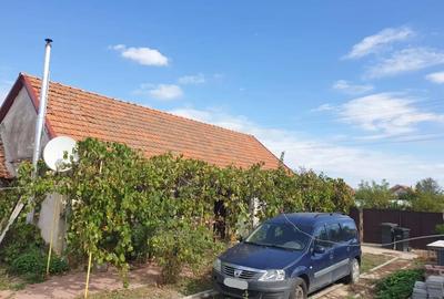 Casă cu 3 camere în Herneacova - 2