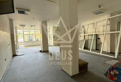 Spațiu comercial, de 290 mp, în Plopilor - 3