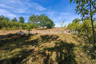 Casă cu 2 camere în Criș - 20