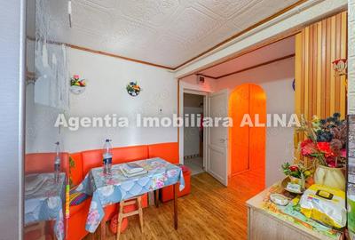 Apartament cu 3 camere semidecomandat în Gojdu - 20