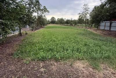 Casă cu 4 camere în Gavojdia - 1