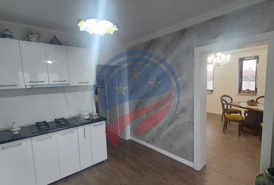 Casa de vacanta in ?imnicu de Jos - 20