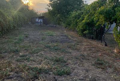 Casă cu 5 camere în Robănești - 5