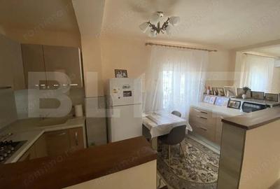 Casa de vanzare, spatiu comercial in suprafata 220 mp, in localitatea Sarmasag - 17