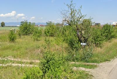 Teren Sanpetru intravilan acces din DJ - 2