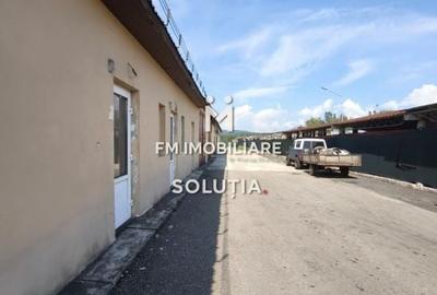 Complex industrial  cu teren 18,672 mp Târgu Lăpuș - 10