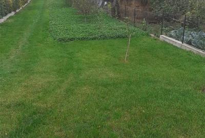 Casă cu 3 camere în Roma - 5