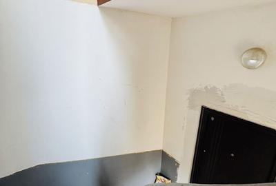 Apartament cu 3 camere în Parcul Carol - 16