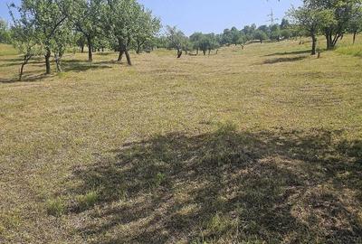 Teren de 11033 mp, în Nucșoara de Sus - 3