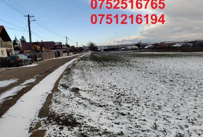 Loc de casa, Moara, teren 3500mp - 1