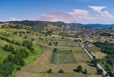 Teren Manastirea Humorului / Strada Principala 22,238 MP - 15