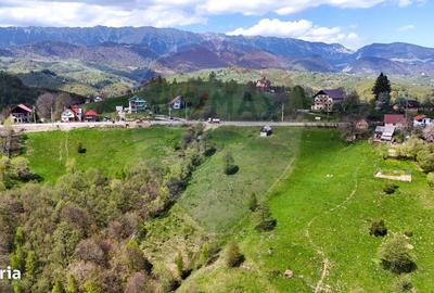Teren de 5694 mp, în Moieciu