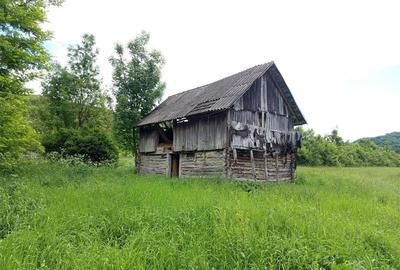 Teren agricol extravilan de 16000 mp, în Borlovenii Noi - 14