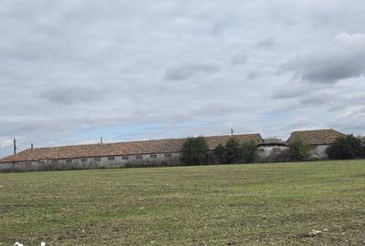 Teren de 51000 mp, în Amzacea - 14