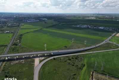 Teren de 28089 mp, în Micălaca - 16