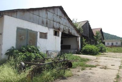 Teren investiție, de 12,579 mp, în Șopotu Vechi - 3