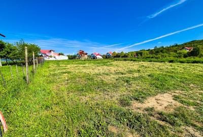 Teren intravilan Vranesti , Calinesti Arges - 2