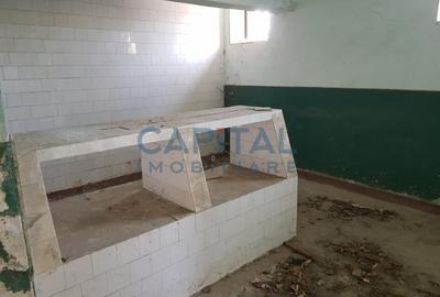 Comision 0%, Doman, Constructie 698 mp si 1800 mp de teren - 4