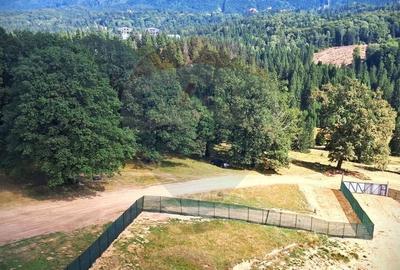 Teren 4,698mp Poiana Brasov / Strada Pastorului