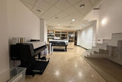 OPORTUNITATE EXCLUSIVĂ DE ÎNCHIRIERE SPAȚII BIROU ZONA CENTRALĂ EMINESCU - 5