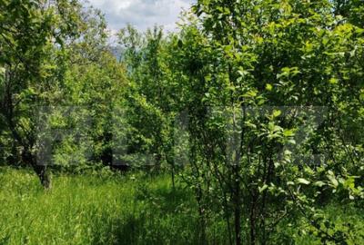 Teren intravilan Pietrosita - 2