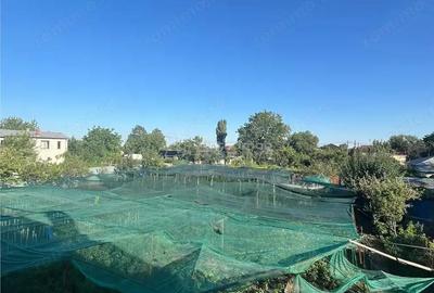 Casă cu Teren 2000 Mp în Central - 1