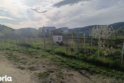 Teren de 891 mp, în Hărman - 7